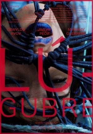 Lúgubre (2024) WEBRIP Hindi (MULTI AUDIO) 720p – 480p – 1080p
